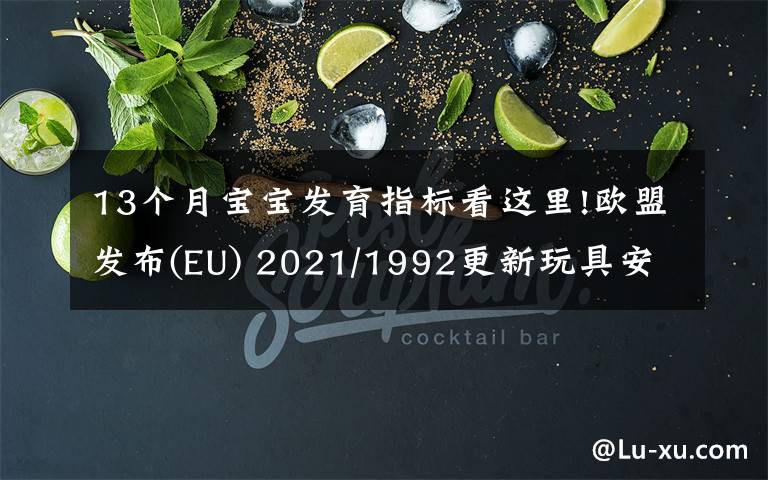 13个月宝宝发育指标看这里!欧盟发布(EU) 2021/1992更新玩具安全指令2009/48/EC协调标准