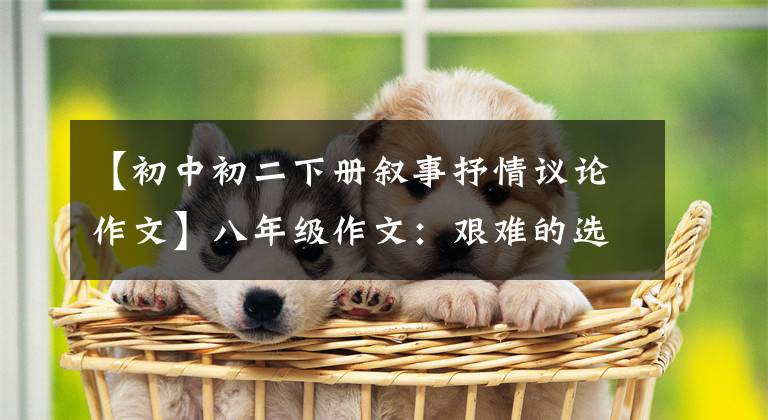 【初中初二下册叙事抒情议论作文】八年级作文：艰难的选择