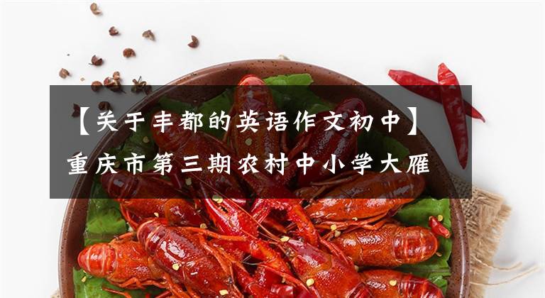 【关于丰都的英语作文初中】重庆市第三期农村中小学大雁工程征文活动审查结果公示。