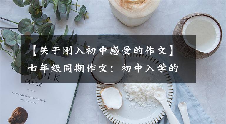 【关于刚入初中感受的作文】七年级同期作文:初中入学的第一天,真的很好