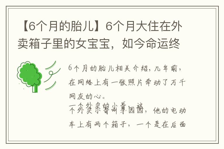 【6个月的胎儿】6个月大住在外卖箱子里的女宝宝，如今命运终于被阳光照耀