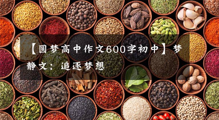 【圆梦高中作文600字初中】梦静文：追逐梦想