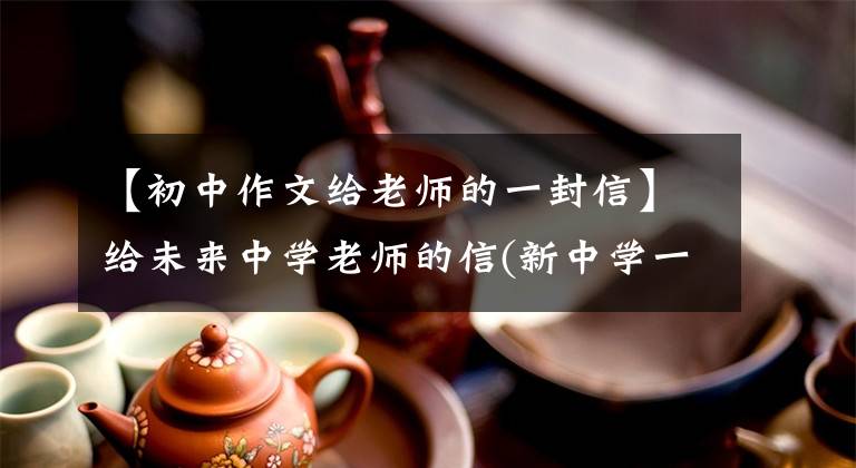 【初中作文给老师的一封信】给未来中学老师的信(新中学一分半作文)