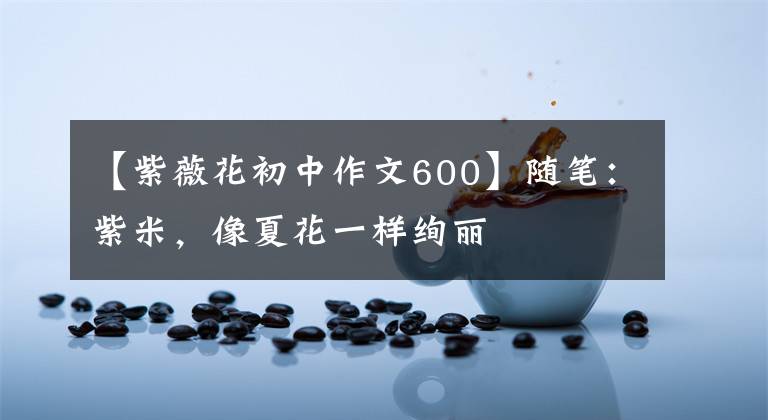【紫薇花初中作文600】随笔：紫米，像夏花一样绚丽