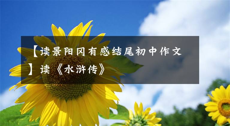 【读景阳冈有感结尾初中作文】读《水浒传》
