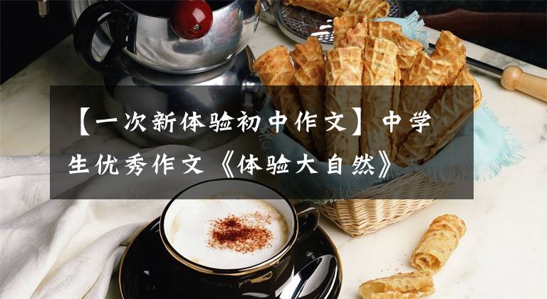 【一次新体验初中作文】中学生优秀作文《体验大自然》