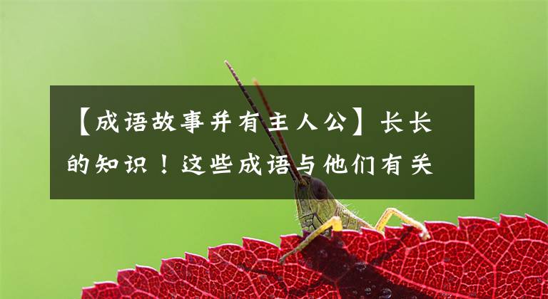 【成语故事并有主人公】长长的知识！这些成语与他们有关