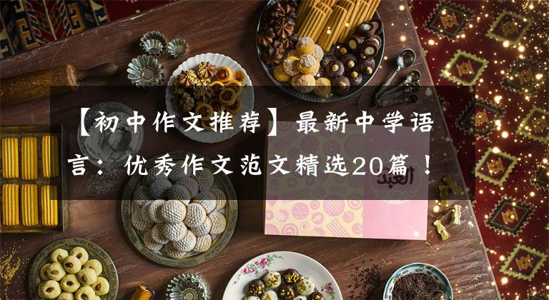 【初中作文推荐】最新中学语言：优秀作文范文精选20篇！包括评论，给孩子上一课