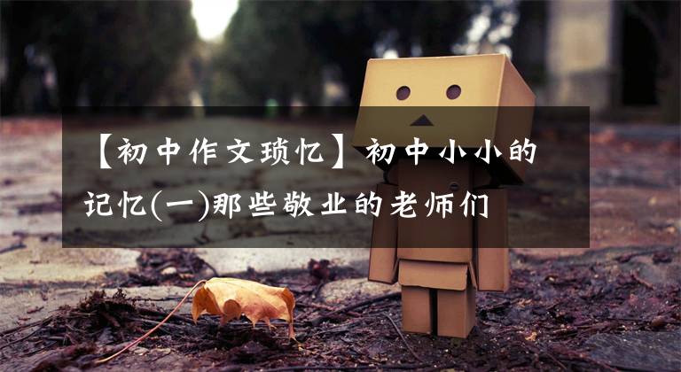 【初中作文琐忆】初中小小的记忆(一)那些敬业的老师们