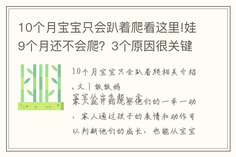 10个月宝宝只会趴着爬看这里!娃9个月还不会爬？3个原因很关键，用对方法助宝宝爬行一臂之力