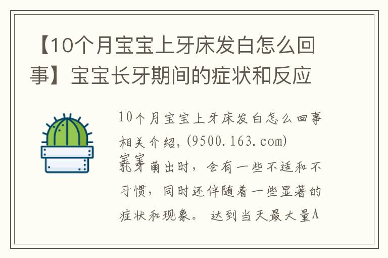 【10个月宝宝上牙床发白怎么回事】宝宝长牙期间的症状和反应