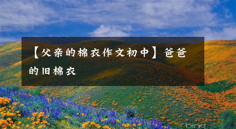 【父亲的棉衣作文初中】爸爸的旧棉衣