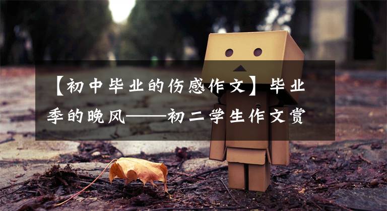 【初中毕业的伤感作文】毕业季的晚风——初二学生作文赏析