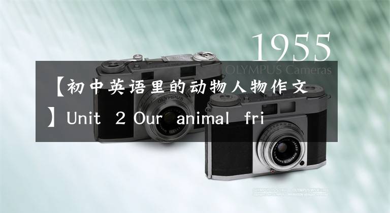 【初中英语里的动物人物作文】Unit  2 Our  animal  friends(牛津上海版7年级第一学期)