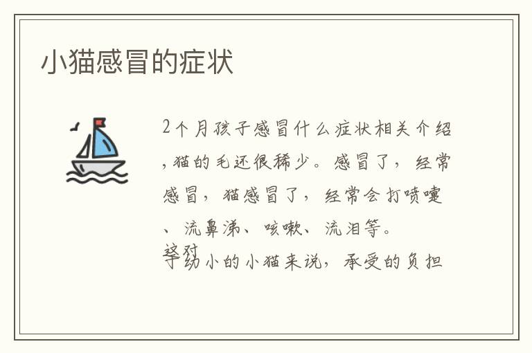 小猫感冒的症状