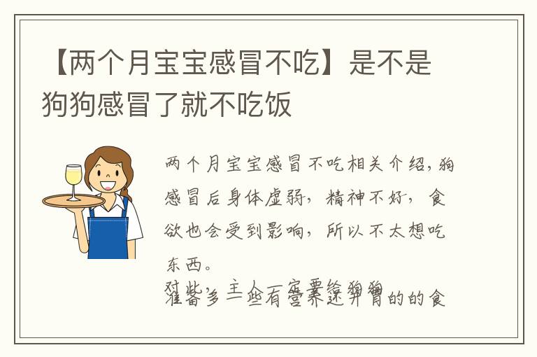 【两个月宝宝感冒不吃】是不是狗狗感冒了就不吃饭