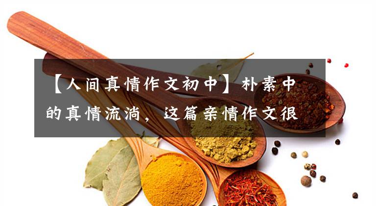 【人间真情作文初中】朴素中的真情流淌，这篇亲情作文很感人