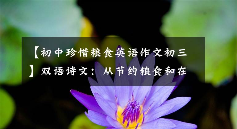 【初中珍惜粮食英语作文初三】双语诗文：从节约粮食和在外卖中推出“小菜”开始