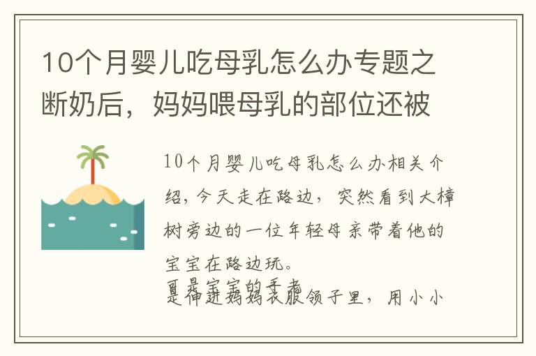 10个月婴儿吃母乳怎么办专题之断奶后，妈妈喂母乳的部位还被宝宝抚摸，怎么改掉这毛病呢