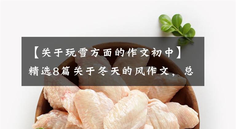 【关于玩雪方面的作文初中】精选8篇关于冬天的风作文，总有一篇适合你。
