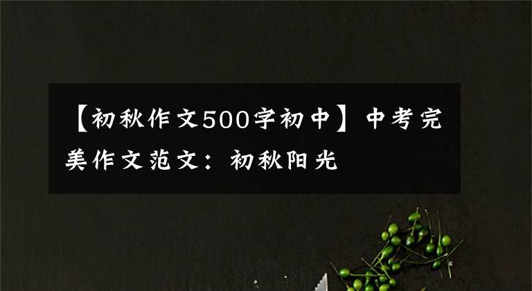 【初秋作文500字初中】中考完美作文范文：初秋阳光