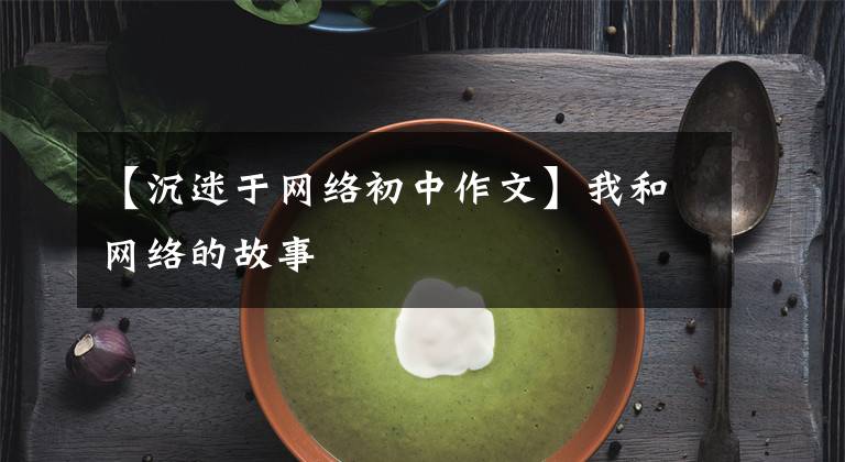 【沉迷于网络初中作文】我和网络的故事