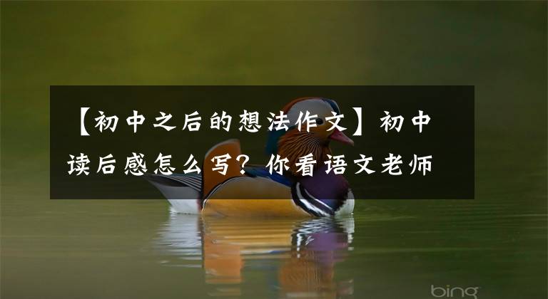 【初中之后的想法作文】初中读后感怎么写？你看语文老师给你写了一篇满分范文
