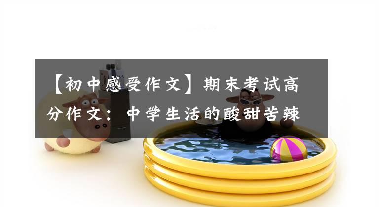 【初中感受作文】期末考试高分作文：中学生活的酸甜苦辣