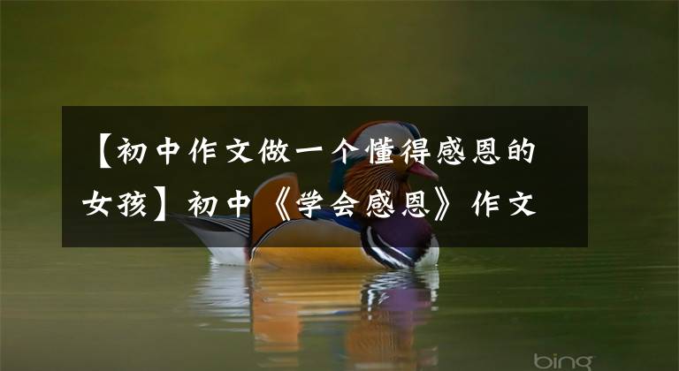 【初中作文做一个懂得感恩的女孩】初中《学会感恩》作文怎么写?你看语文老师给你写了一篇范文