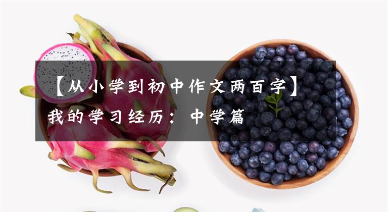 【从小学到初中作文两百字】我的学习经历：中学篇