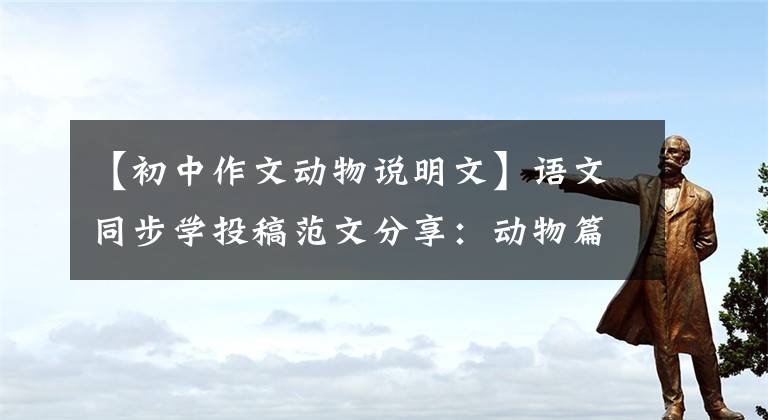 【初中作文动物说明文】语文同步学投稿范文分享：动物篇(包括名词评论)