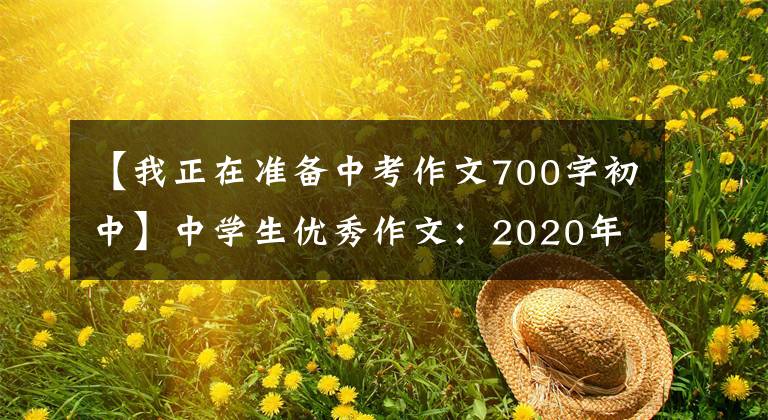 【我正在准备中考作文700字初中】中学生优秀作文:2020年,我的高中入学考试。