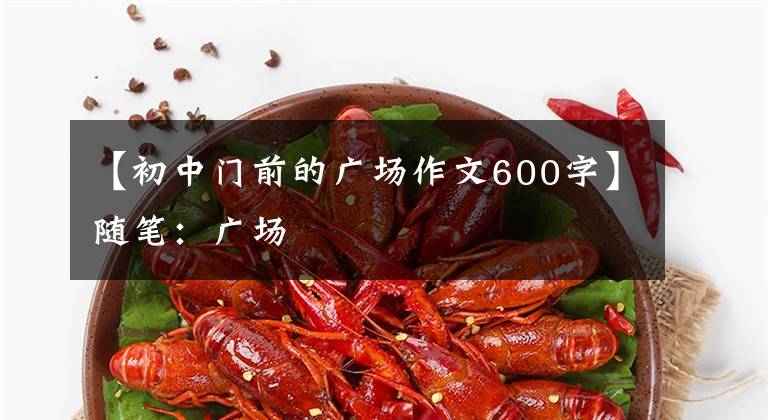 【初中门前的广场作文600字】随笔：广场