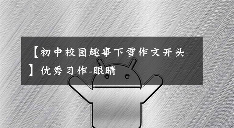 【初中校园趣事下雪作文开头】优秀习作-眼睛