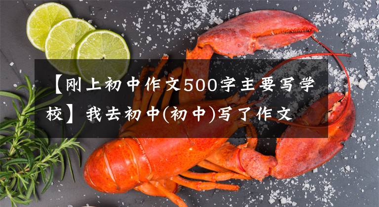 【刚上初中作文500字主要写学校】我去初中(初中)写了作文