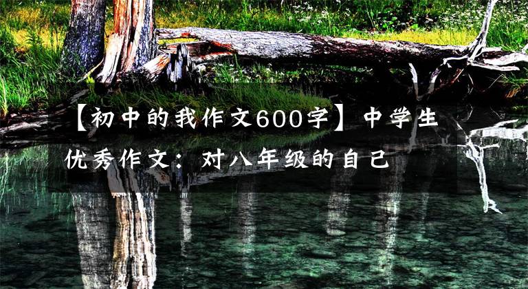 【初中的我作文600字】中学生优秀作文：对八年级的自己