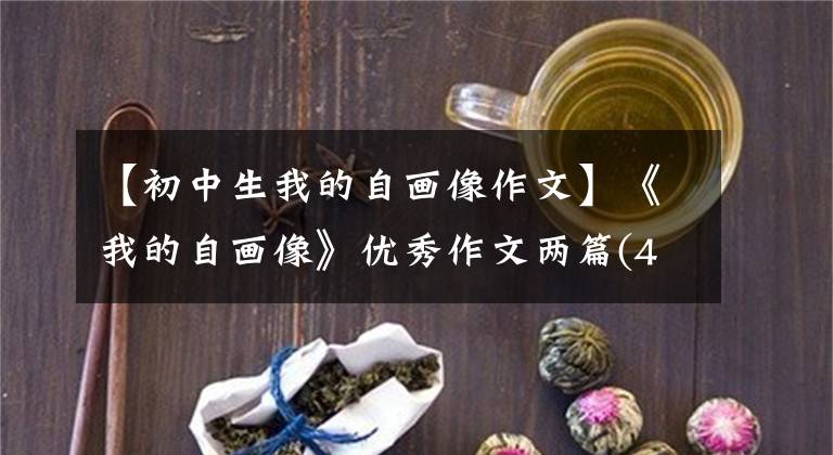 【初中生我的自画像作文】《我的自画像》优秀作文两篇(4次习作7)