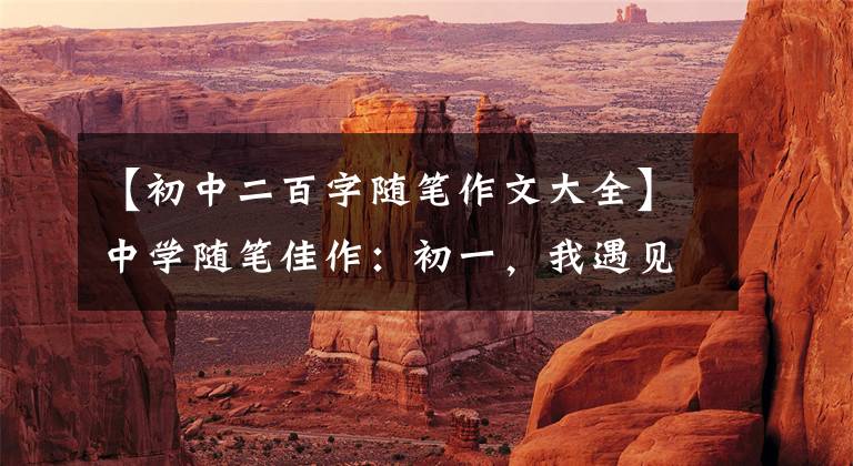 【初中二百字随笔作文大全】中学随笔佳作：初一，我遇见的那些美丽的作品。