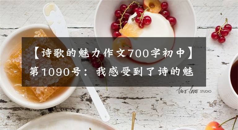 【诗歌的魅力作文700字初中】第1090号:我感受到了诗的魅力。
