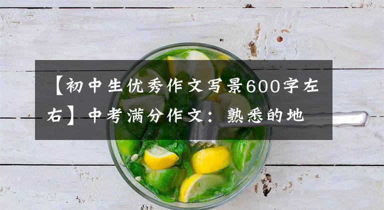 【初中生优秀作文写景600字左右】中考满分作文：熟悉的地方也有风景