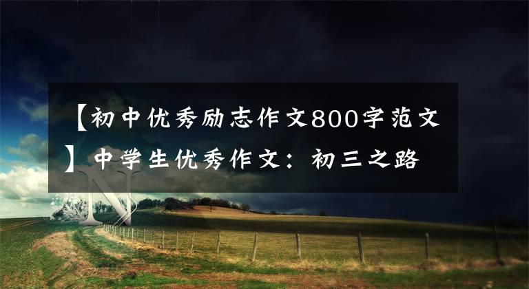 【初中优秀励志作文800字范文】中学生优秀作文：初三之路，我无悔地奋斗。