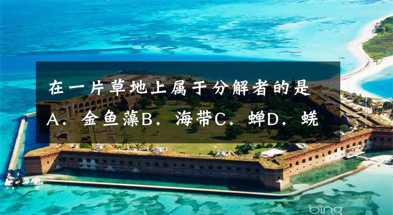 在一片草地上属于分解者的是A．金鱼藻B．海带C．蝉D．蜣螂