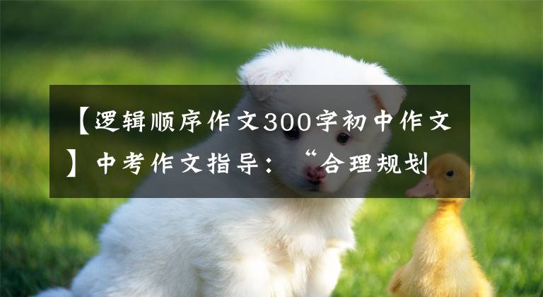 【逻辑顺序作文300字初中作文】中考作文指导：“合理规划、坚持不懈”思维要点及范文述评