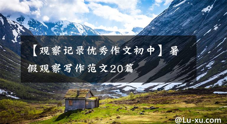 【观察记录优秀作文初中】暑假观察写作范文20篇