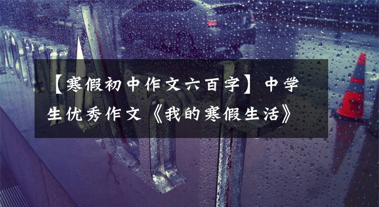 【寒假初中作文六百字】中学生优秀作文《我的寒假生活》 9篇