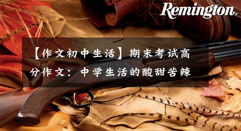 【作文初中生活】期末考试高分作文：中学生活的酸甜苦辣