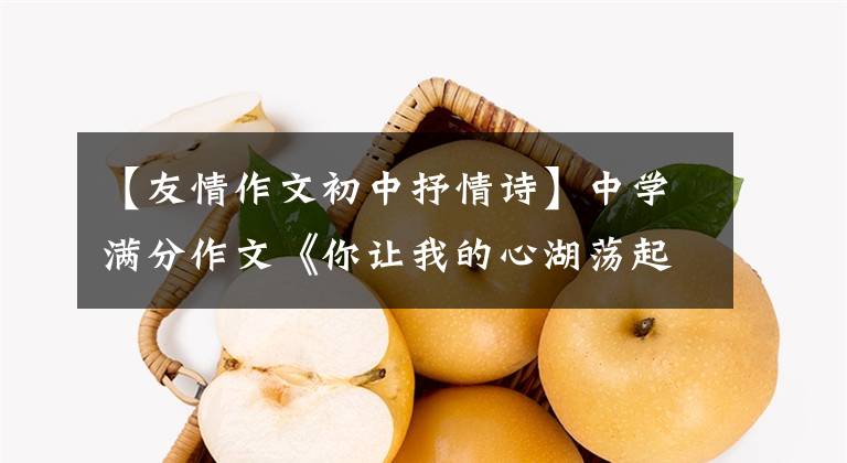 【友情作文初中抒情诗】中学满分作文《你让我的心湖荡起涟漪》友谊万岁，风雨不止