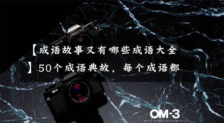 【成语故事又有哪些成语大全】50个成语典故，每个成语都包含解释、出处、人物介绍(所长提议)