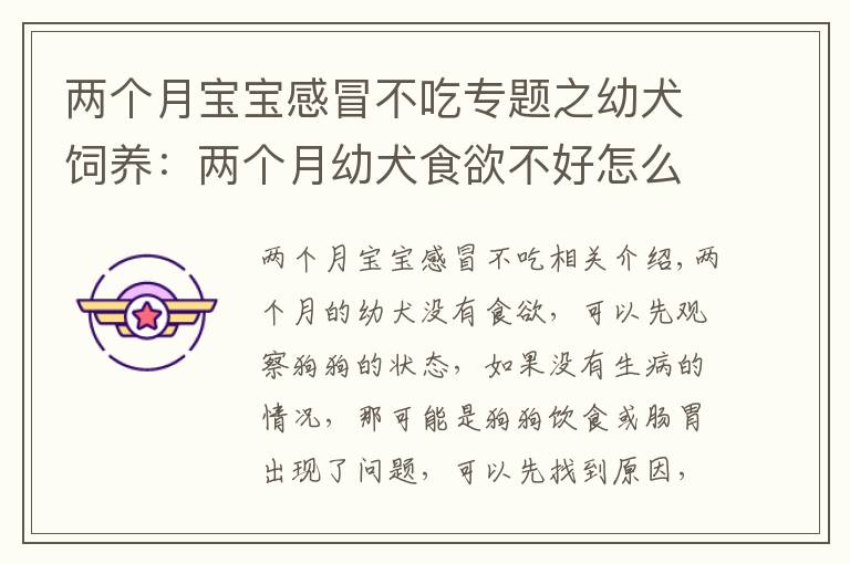 两个月宝宝感冒不吃专题之幼犬饲养：两个月幼犬食欲不好怎么办？针对原因采取措施