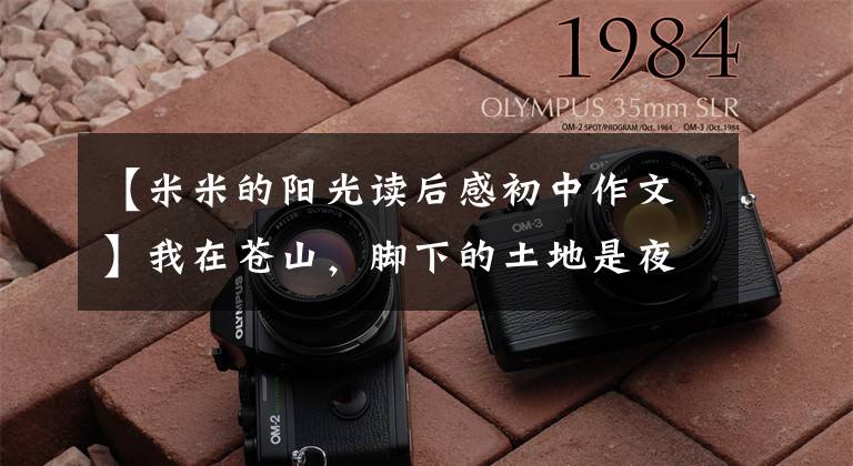 【米米的阳光读后感初中作文】我在苍山，脚下的土地是夜晚来临前的光